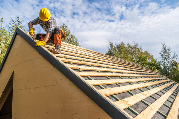 Best Roof Gutter Cleaning  in Orofino, ID